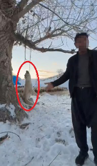 Kayseri’nin Pınarbaşı ilçesinde, beslediği köpeğin çok fazla yemek yediğini iddia