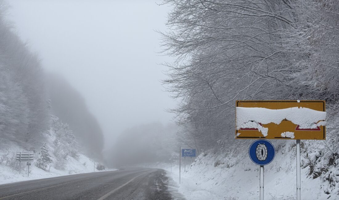 Kütahya’nın Domaniç ilçesi ile Bursa’nın İnegöl ilçesini birbirine bağlayan karayolunda