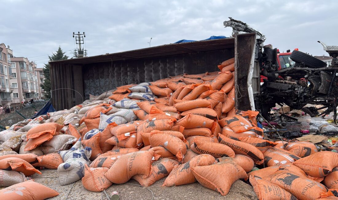 Samsun’un Vezirköprü ilçesinde freni patladığı iddia edilen bir kamyonun neden