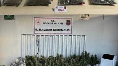   İklimlendirme sistemiyle uyuşturucu üretimi tespit edildi Kocaeli İl Jandarma