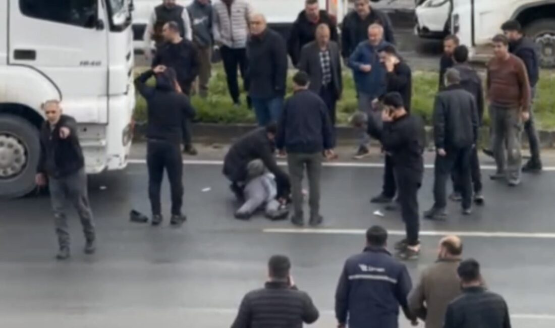Mardin’in Nusaybin ilçesinde, uluslararası İpekyolu üzerinde yolun karşısına geçmeye çalışırken