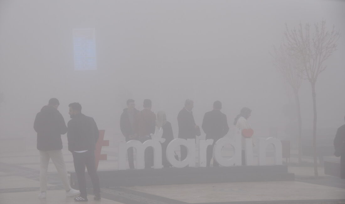 Mardin’de öğleden sonra etkili olan yoğun sis, günlük yaşamı ve