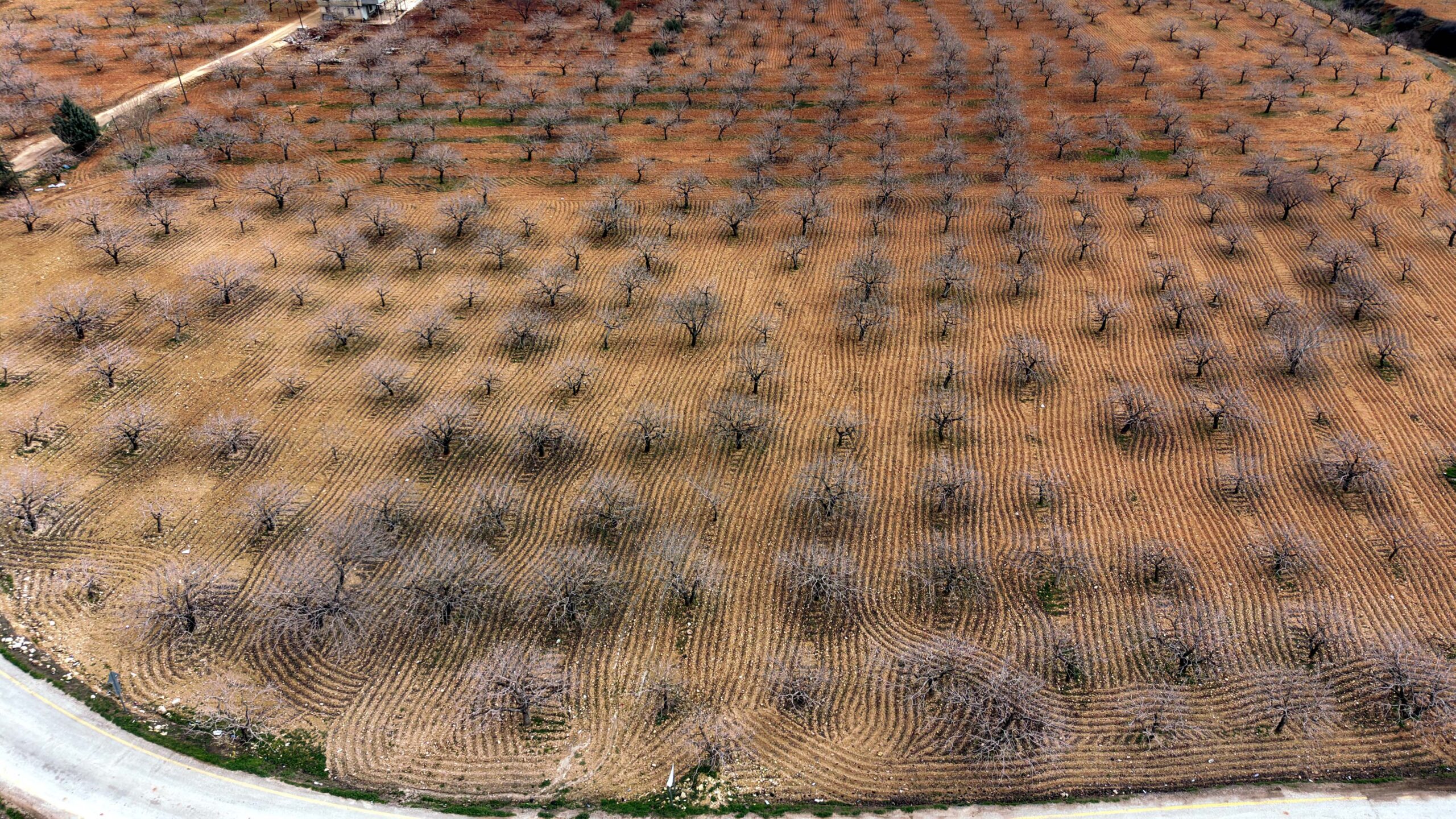 Güneydoğu Anadolu Bölgesi’nin en önemli gelir kaynaklarından olan Antep fıstığında,