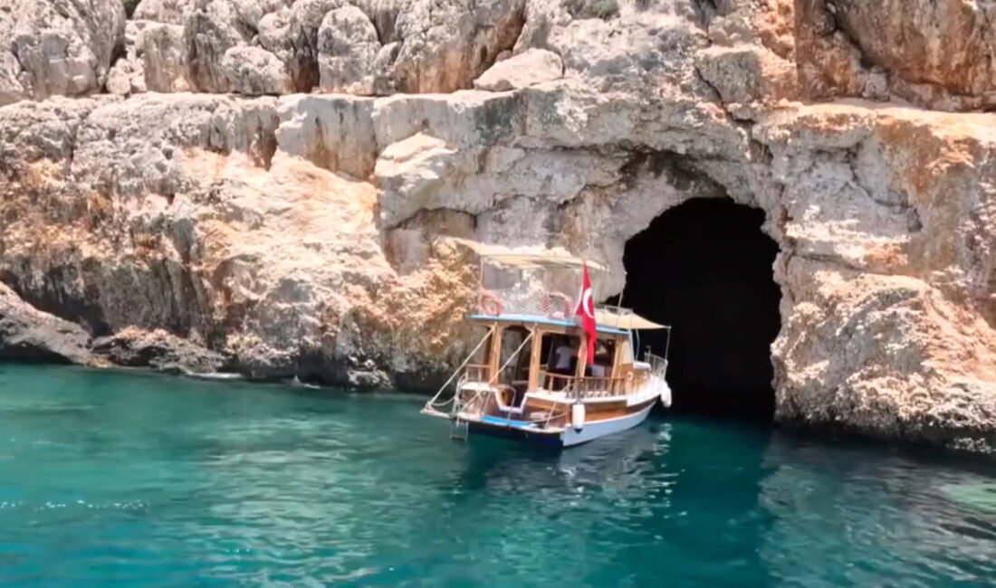 Antalya’nın Gazipaşa ilçesinde, nesli kritik derecede tehlike altında olan Akdeniz