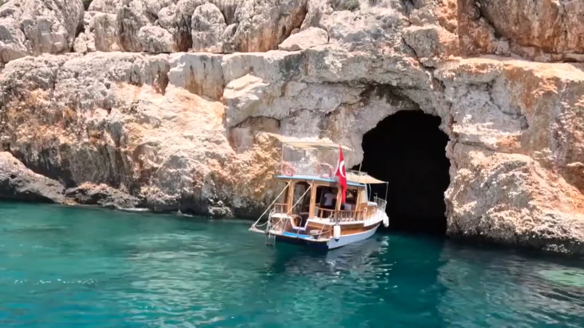 Antalya’nın Gazipaşa ilçesinde, nesli kritik derecede tehlike altında olan Akdeniz