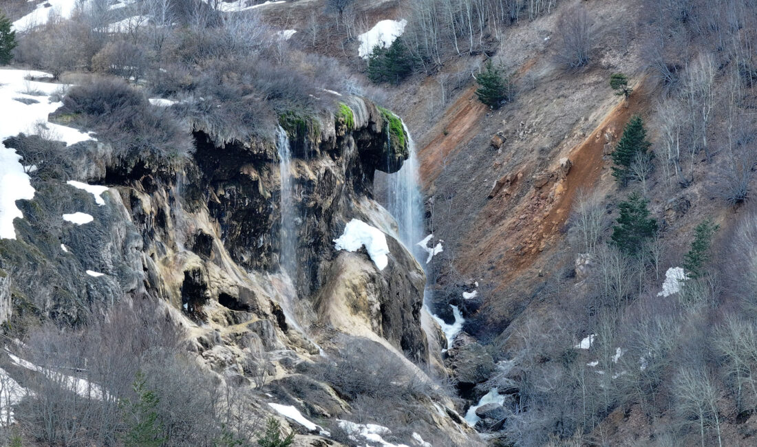 Sivas’ın Doğanşar ilçesinde bulunan ve geçtiğimiz yıl Tarım ve Orman