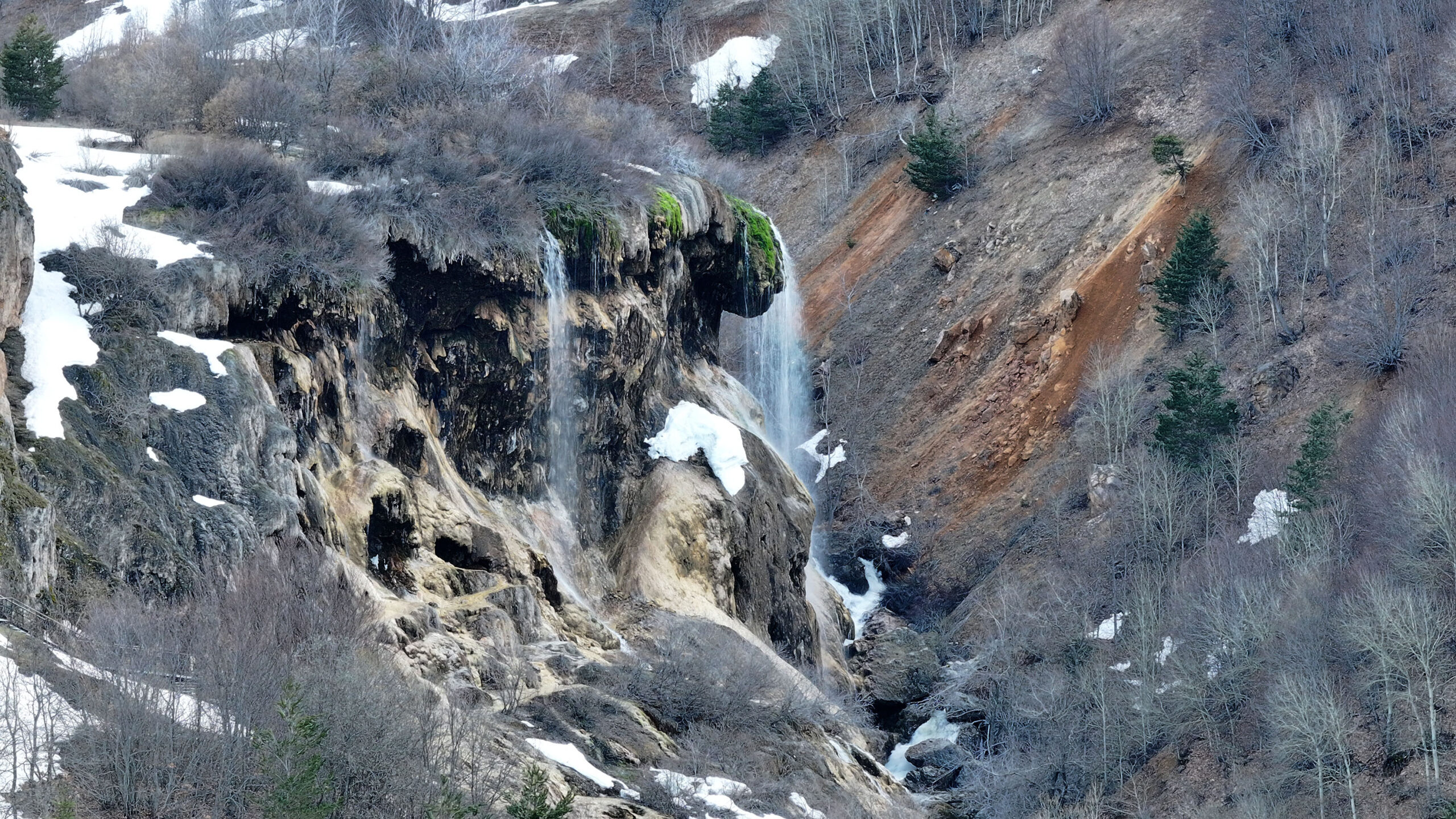 Sivas’ın Doğanşar ilçesinde bulunan ve geçtiğimiz yıl Tarım ve Orman