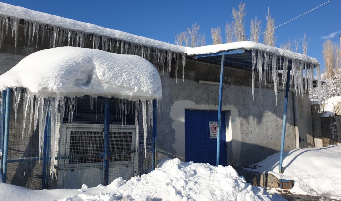 Van’ın Başkale ilçesinde kar yağışının ardından etkili olan dondurucu soğuklar