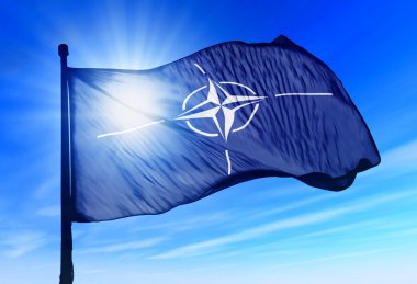BRÜKSEL / TEKHA NATO Sözcüsü Allison Hart, ABD’nin Almanya’da konuşlu