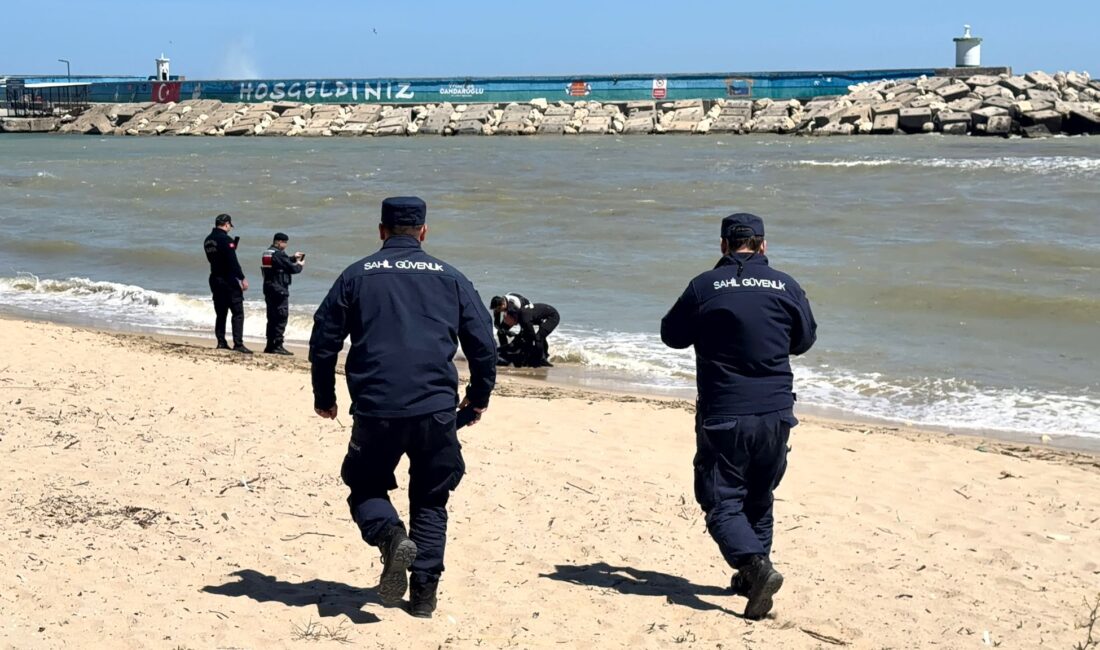 İSTANBUL – Arnavutköy ilçesindeki Karaburun Sahili’nde, sabah saatlerinde kıyıya vurmuş