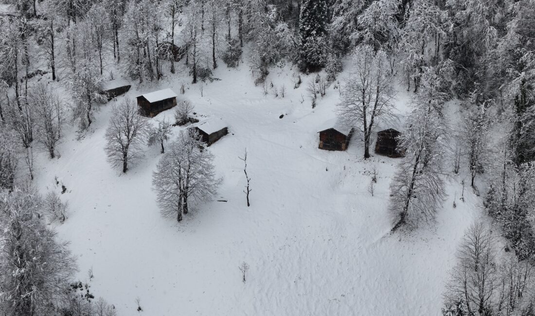 &nbsp; Rize’nin dünyaca ünlü turizm merkezi Ayder Yaylası’nda etkili olan