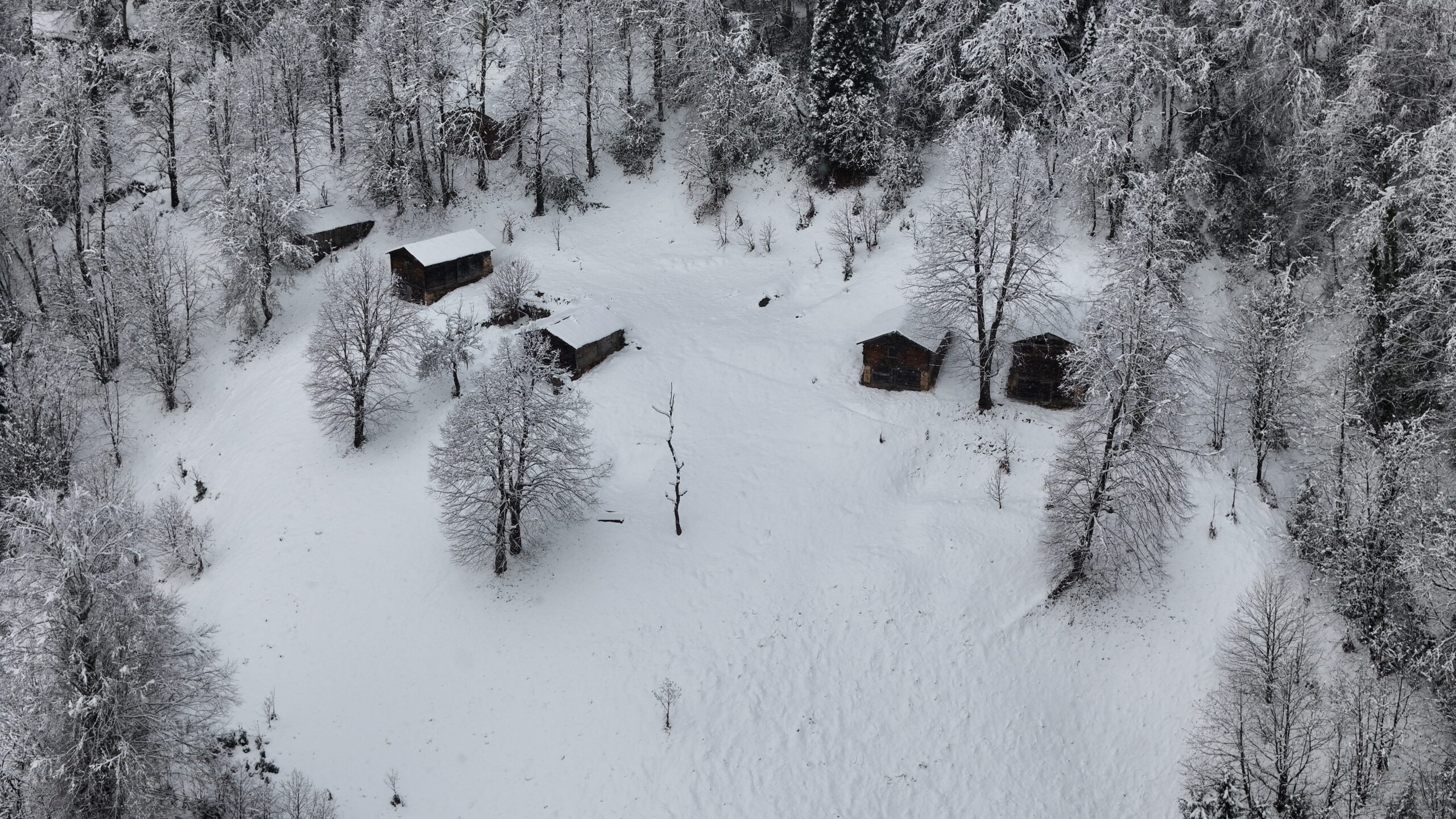 &nbsp; Rize’nin dünyaca ünlü turizm merkezi Ayder Yaylası’nda etkili olan