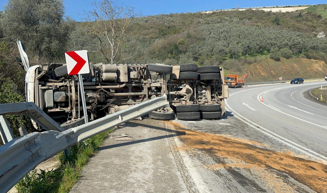 Bursa’nın İznik ilçesinde sürücüsünün kontrolünden çıkan cam elyaf yüklü kamyonun