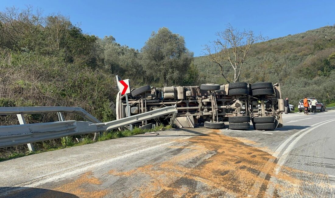 Bursa’nın İznik ilçesinde, cam elyaf yüklü bir kamyonun kontrolden çıkarak