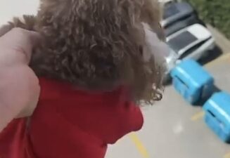 İstanbul Başakşehir’de, evinde beslediği köpeği bacağından tutarak yüksek kattaki pencereden