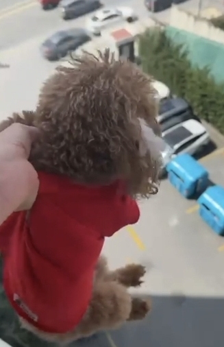 İstanbul Başakşehir’de, evinde beslediği köpeği bacağından tutarak yüksek kattaki pencereden