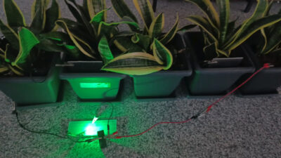 Bolu Abant İzzet Baysal Üniversitesi (BAİBÜ) öncülüğünde hayata geçirilen yenilikçi