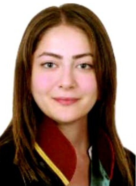 Bursa’nın Gürsu ilçesinde, borçlu olduğu iş yeri sahibi ve avukat