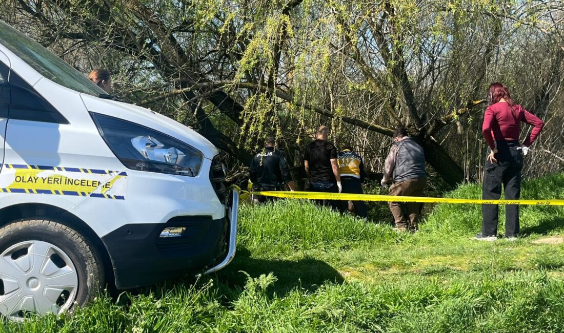 KÜTAHYA – Tavşanlı ilçesinde, Adranos Çayı kıyısındaki ağaçlık alanda 39