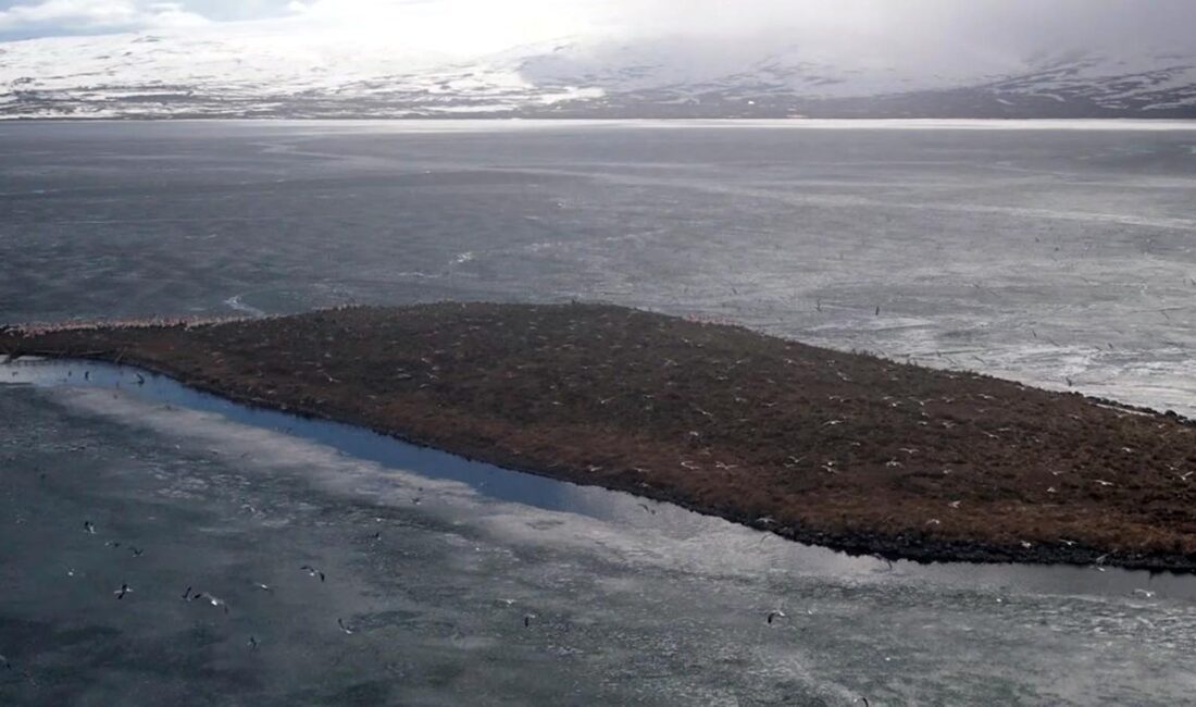 Kars’ın Arpaçay ile Ardahan’ın Çıldır ilçeleri arasında yer alan, Doğu