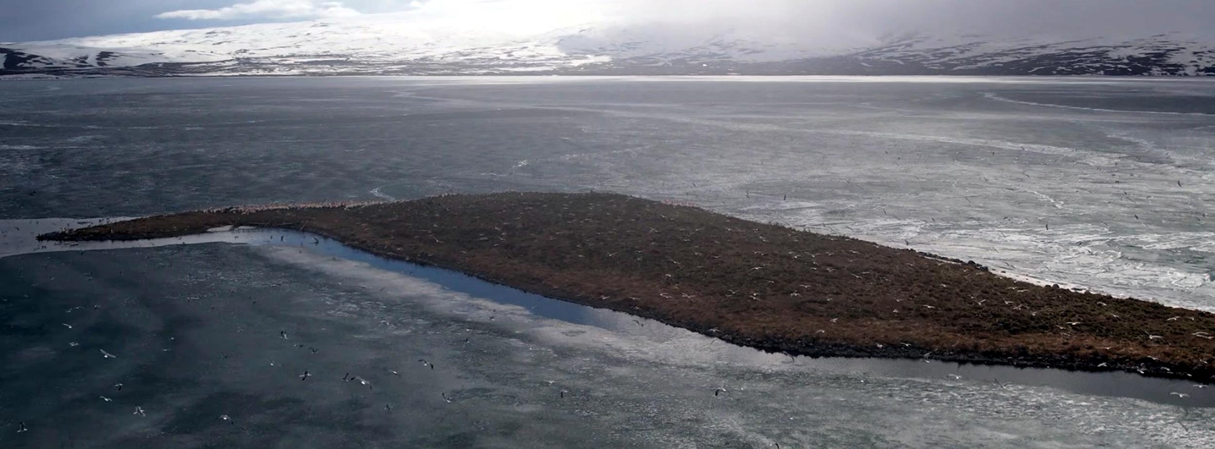 Kars’ın Arpaçay ile Ardahan’ın Çıldır ilçeleri arasında yer alan, Doğu