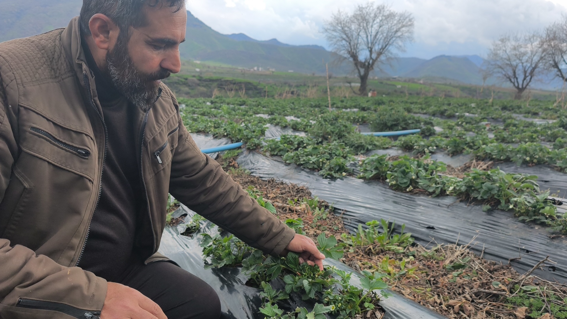 Batman’ın Sason ilçesinde etkili olan sağanak ve dolu yağışı, bölgenin