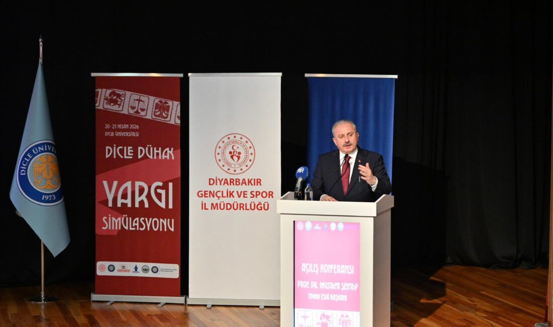 DİYARBAKIR / TEKHA Diyarbakır’da, Dicle Üniversitesi Düşünce ve Hareket Kulübü