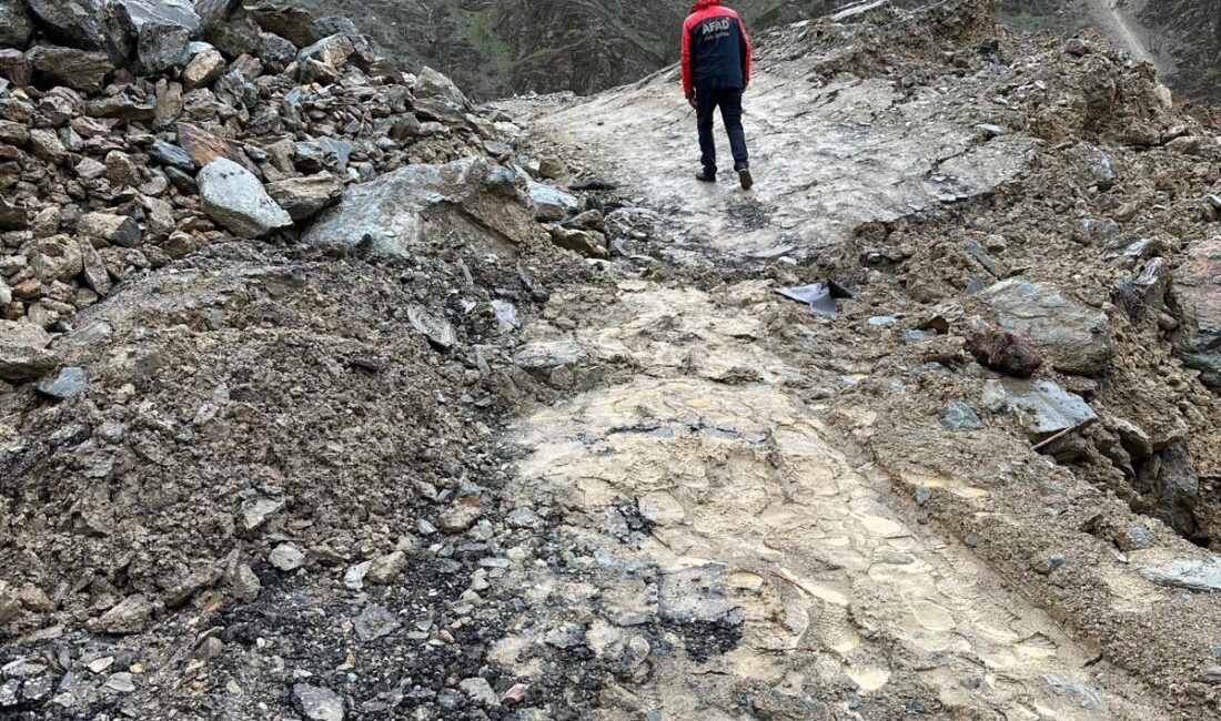 HAKKARİ / TEKHA Hakkari Valiliği, Hakkari-Van Devlet Yolu üzerinde meydana