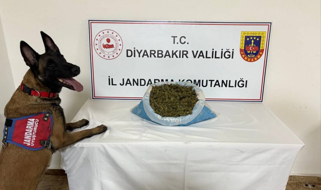 Diyarbakır İl Jandarma Komutanlığı, şehir genelinde uyuşturucu madde ticareti yapan