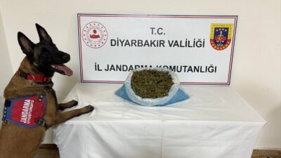 Diyarbakır İl Jandarma Komutanlığı, şehir genelinde uyuşturucu madde ticareti yapan