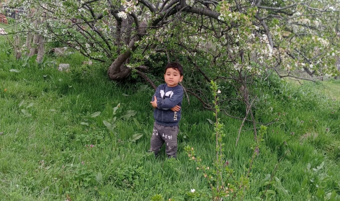 ANKARA – Çubuk ilçesinde park dönüşü dedesinin elini bırakarak yola