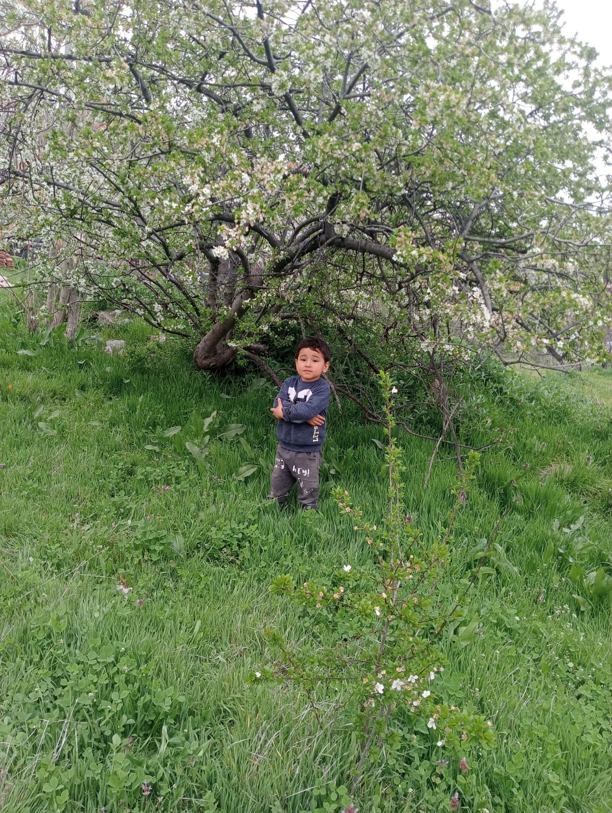 ANKARA – Çubuk ilçesinde park dönüşü dedesinin elini bırakarak yola