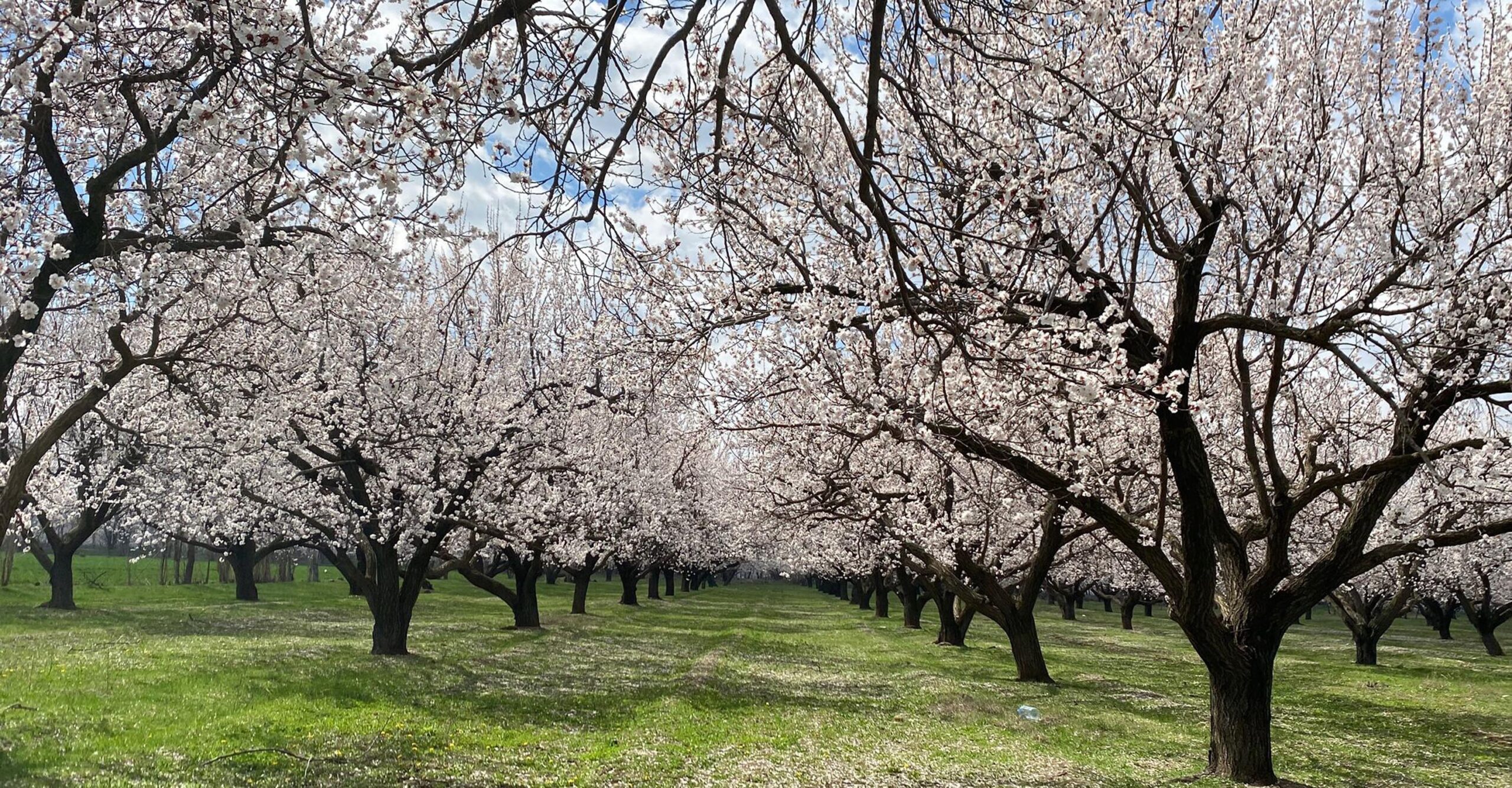 Türkiye’nin en yüksek noktası olan Ağrı Dağı’nın eteklerinde, “Doğu’nun Çukurova’sı”