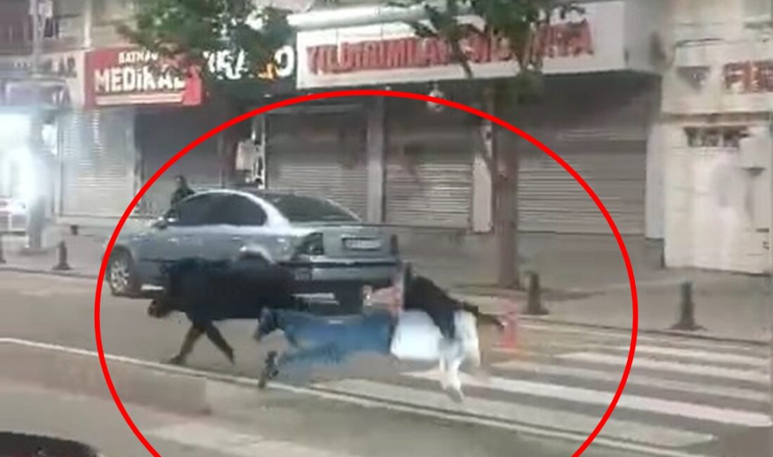 Batman kent merkezine inen bir yaban domuzu, karşılaştığı vatandaşlara saldırarak