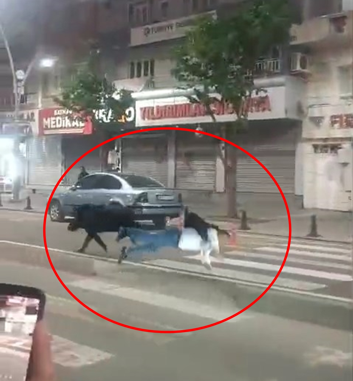 Batman kent merkezine inen bir yaban domuzu, karşılaştığı vatandaşlara saldırarak