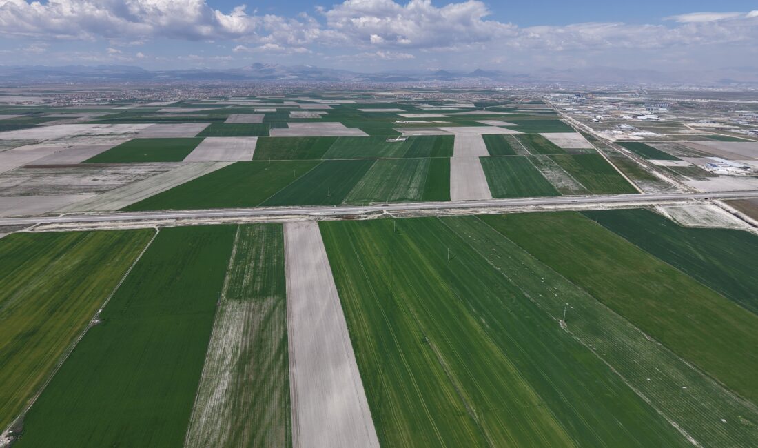 “Türkiye’nin tahıl ambarı” olarak nitelendirilen Konya Ovası’nda son dönemde etkili