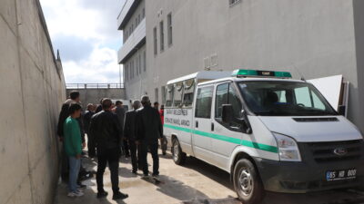 Van’ın Saray ilçesinde, oyun oynadıkları sırada sokak köpeklerinin saldırısına uğrayan