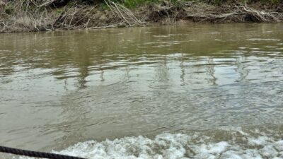 SAKARYA – Erenler ilçesinde Sakarya Nehri’ne düşerek akıntıya kapılan 10