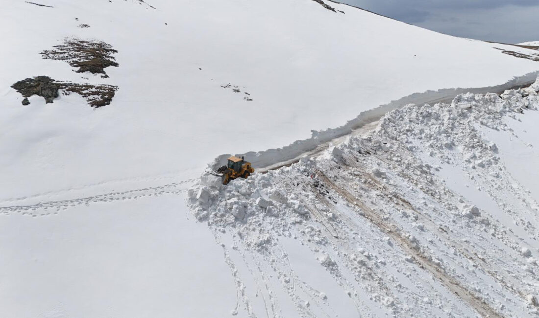 Ordu’nun yüksek kesimlerinde kış mevsiminden kalan dev kar kütlelerini temizlemek