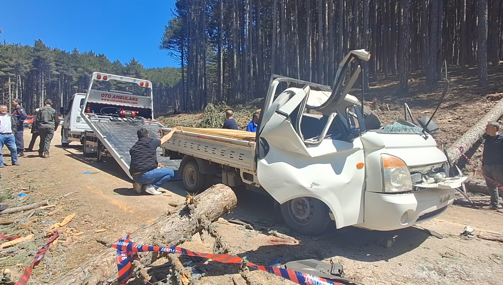 Bursa’da Uludağ yolunda özel bir şirket tarafından yürütülen ağaç kesim