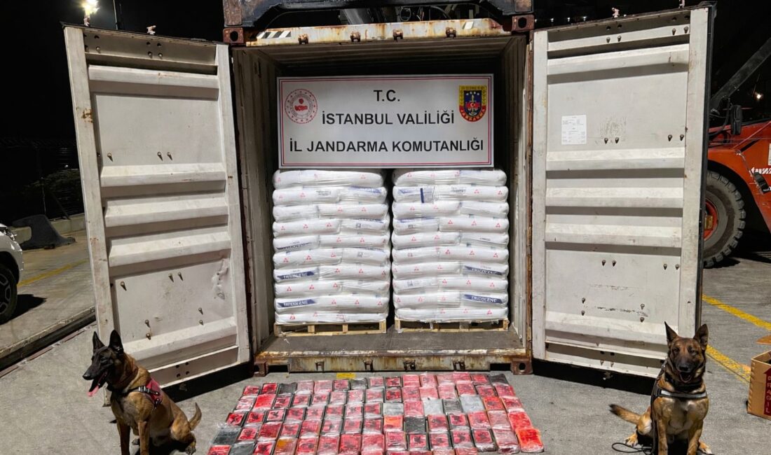 Bakırköy Cumhuriyet Başsavcılığı koordinesinde; MİT, Jandarma ve Sahil Güvenlik birimlerinin