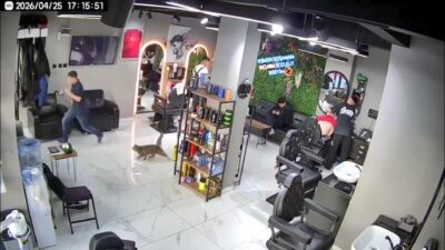 İstanbul Sultangazi’de bir kuaför salonunda bakılan anne kedinin, kendisiyle ilgilenen