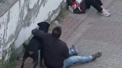 İstanbul Ümraniye’de ağızlıksız gezdirilen rottweiler cinsi köpek, sahibiyle yürüyen küçük