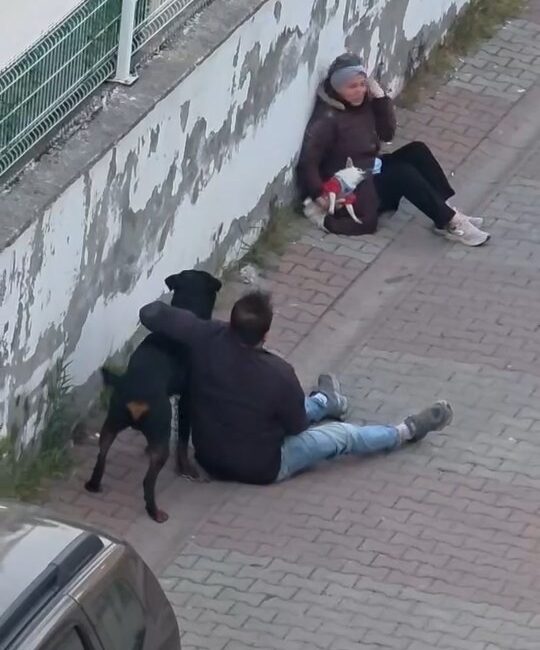 İstanbul Ümraniye’de ağızlıksız gezdirilen rottweiler cinsi köpek, sahibiyle yürüyen küçük