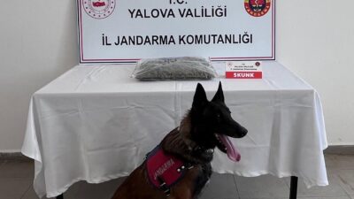 Yalova İl Jandarma Komutanlığı, uyuşturucuyla mücadele çalışmaları kapsamında düzenlediği operasyonda