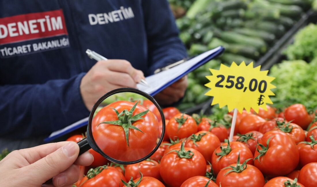 Ticaret Bakanlığı tarafından yürütülen piyasa gözetim ve denetim çalışmaları kapsamında