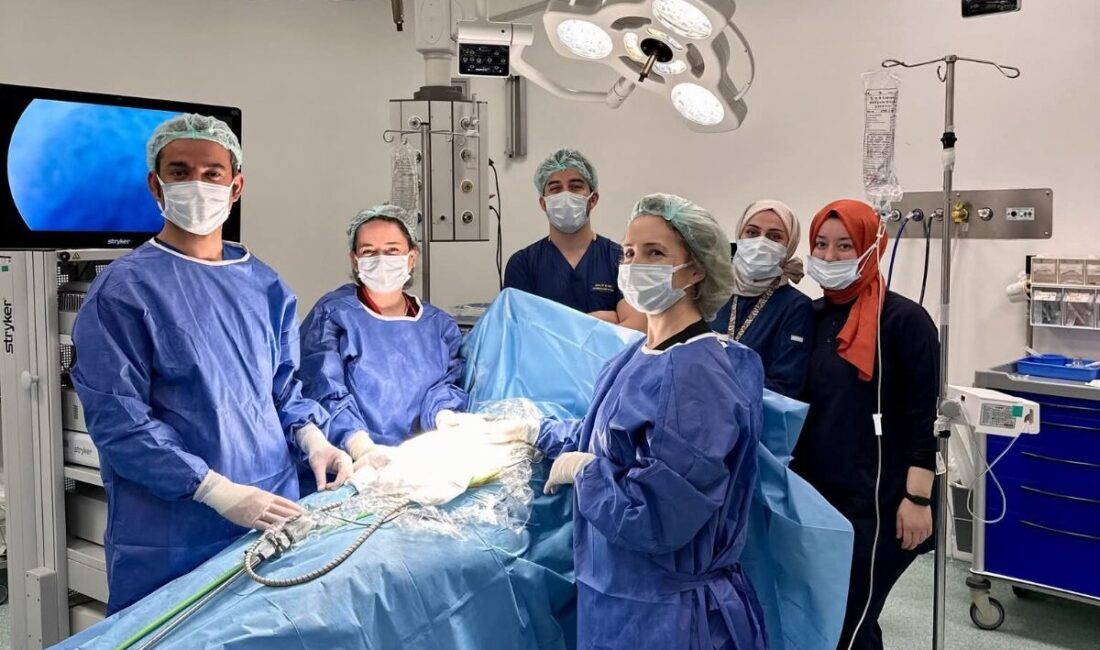 Yalova’da sağlık alanında dikkat çeken bir başarıya daha imza atıldı.