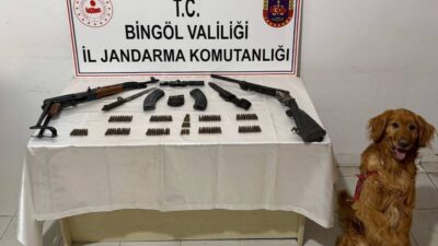 BİNGÖL’ün Karlıova ilçesi kırsalında jandarma ekipleri tarafından düzenlenen operasyonda, bir