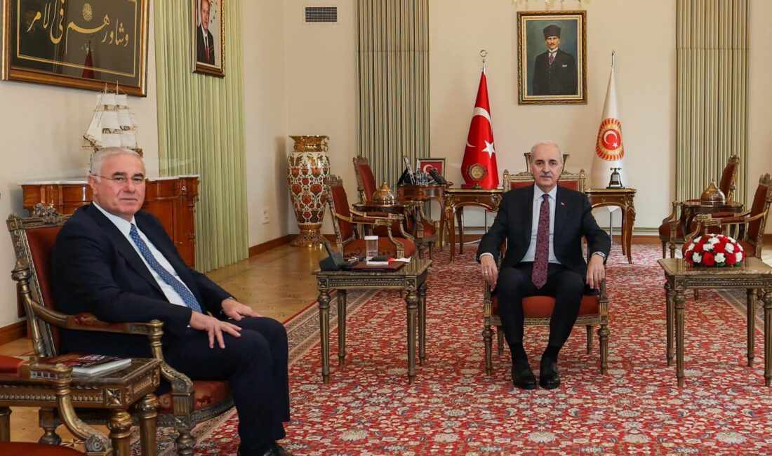 Kamu Denetçiliği Kurumu Başkanı ve Kamu Başdenetçisi Mehmet Akarca, Türkiye