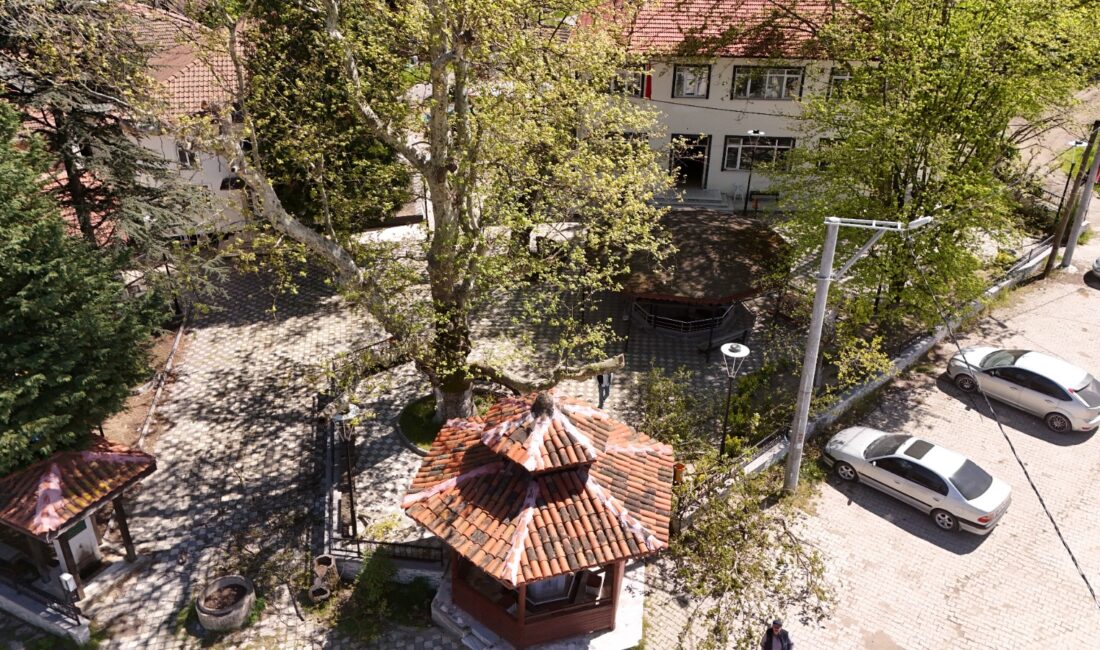 YALOVA / TEKHA Yalova İl Özel İdaresi, tarihi, kültürel ve